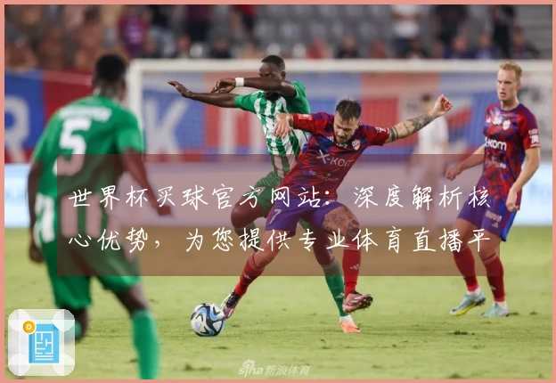 世界杯买球官方网站：深度解析核心优势，为您提供专业体育直播平台体验