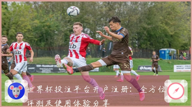 世界杯投注平台开户注册：全方位评测及使用体验分享