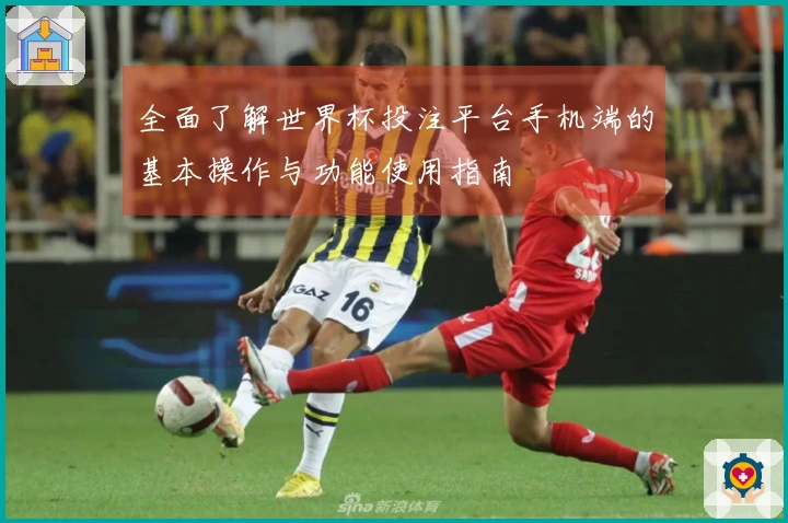 全面了解世界杯投注平台手机端的基本操作与功能使用指南