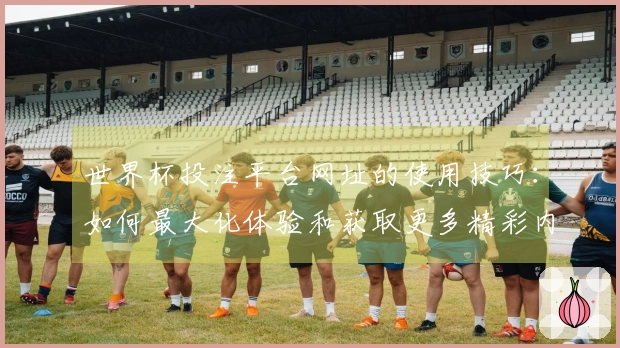 世界杯投注平台网址的使用技巧：如何最大化体验和获取更多精彩内容