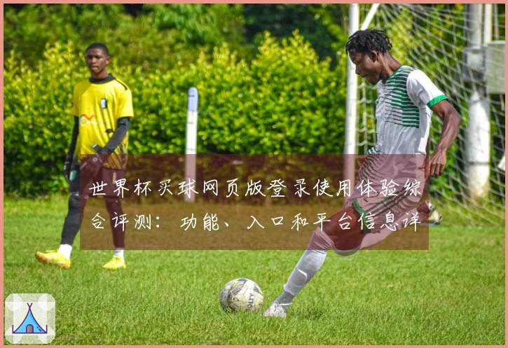 世界杯买球网页版登录使用体验综合评测：功能、入口和平台信息详解