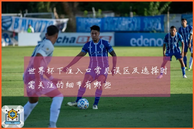 世界杯下注入口常见误区及选择时需关注的细节有哪些