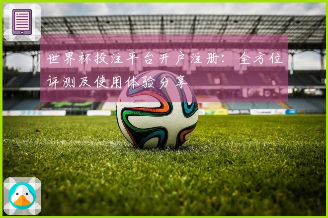 世界杯投注平台开户注册：全方位评测及使用体验分享