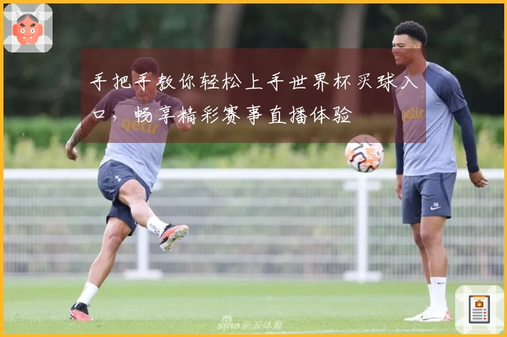 手把手教你轻松上手世界杯买球入口，畅享精彩赛事直播体验