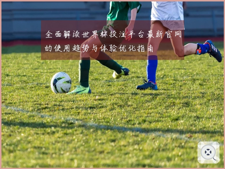 全面解读世界杯投注平台最新官网的使用趋势与体验优化指南