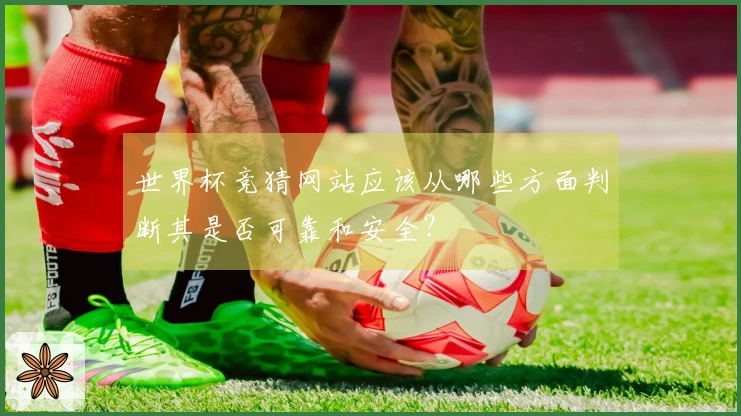 世界杯竞猜网站应该从哪些方面判断其是否可靠和安全？
