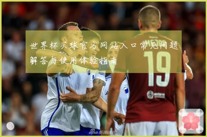 世界杯买球官方网站入口常见问题解答与使用体验指南