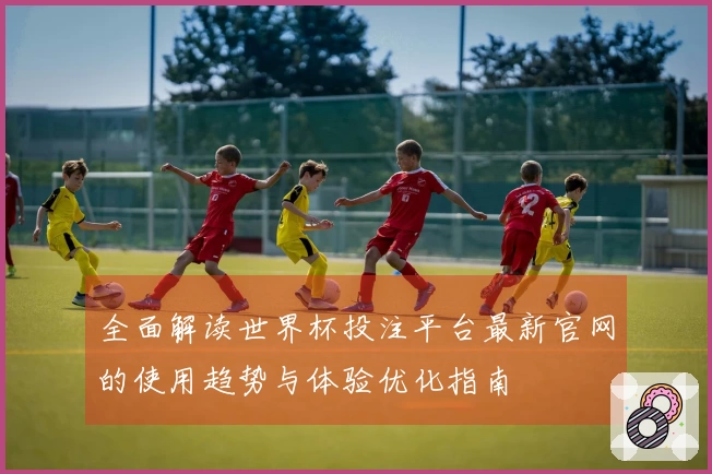 全面解读世界杯投注平台最新官网的使用趋势与体验优化指南